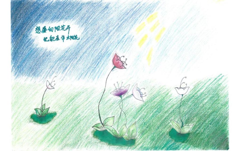 星空体育app下载
